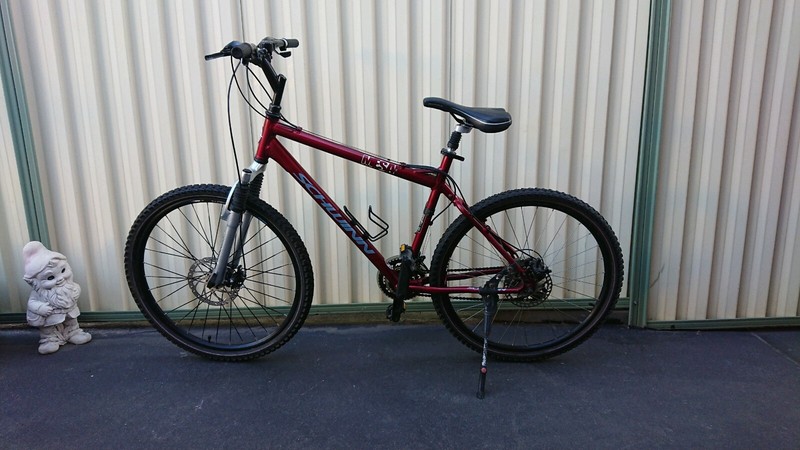 schwinn mesa 24